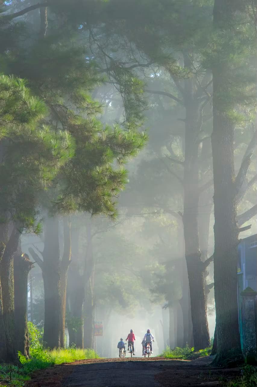 People walking along a green city street