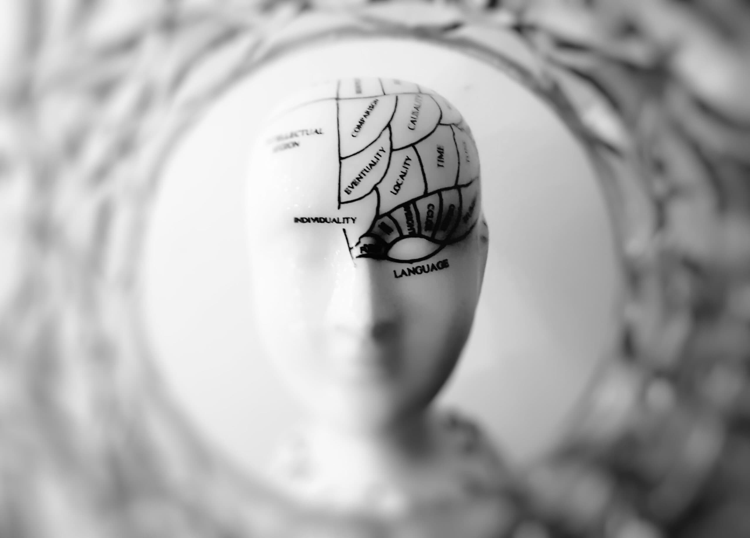 Cartoonated Human skull (Psychology of travel)