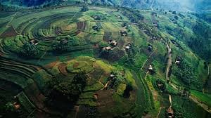 Uganda – The Pearl Of Africa