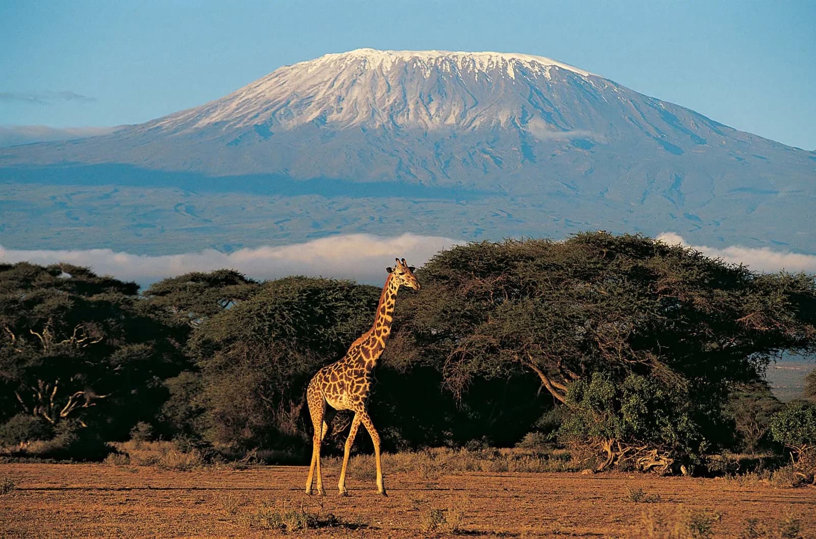 Time in Kenya