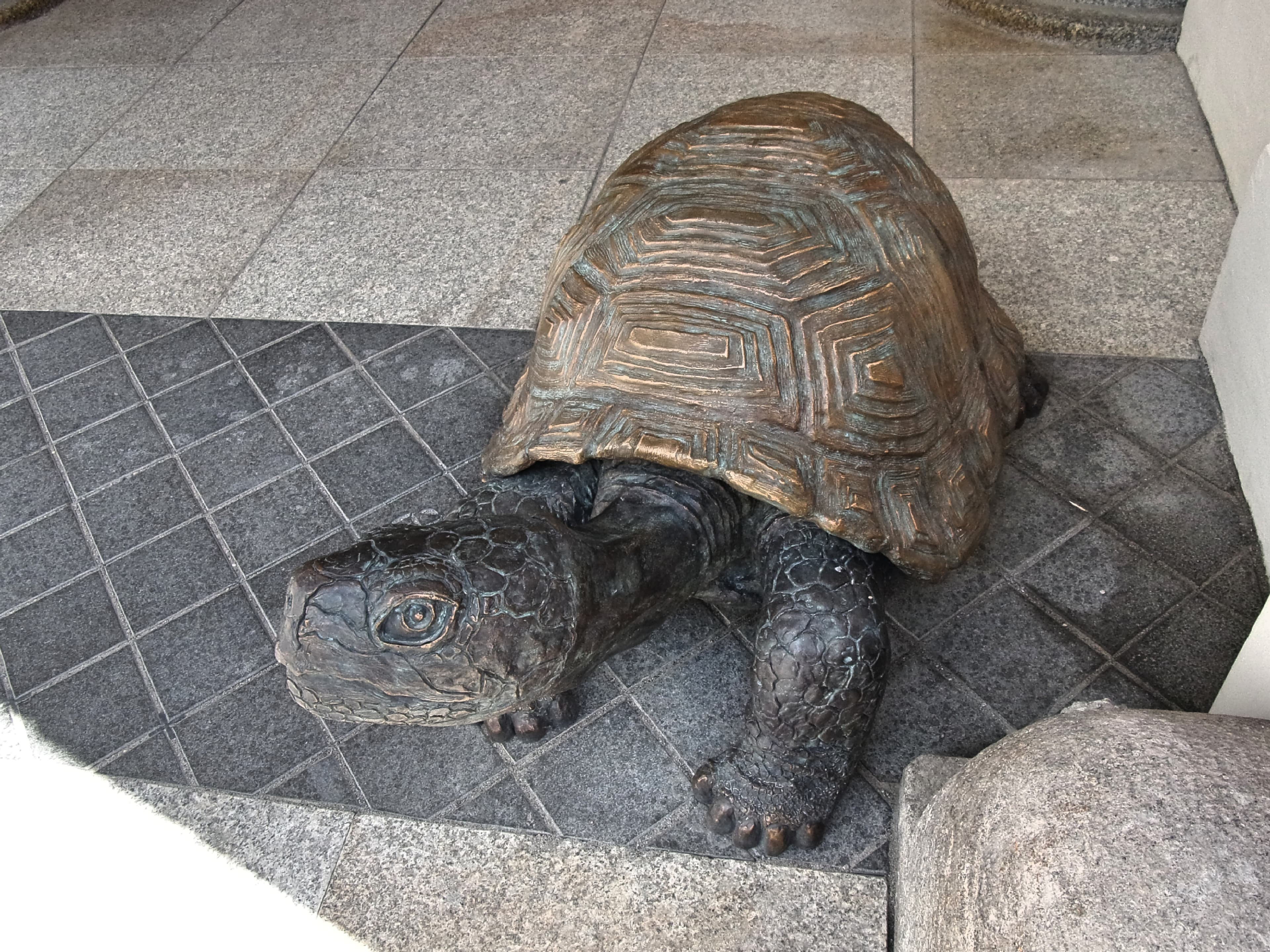 Tortue Hamburg