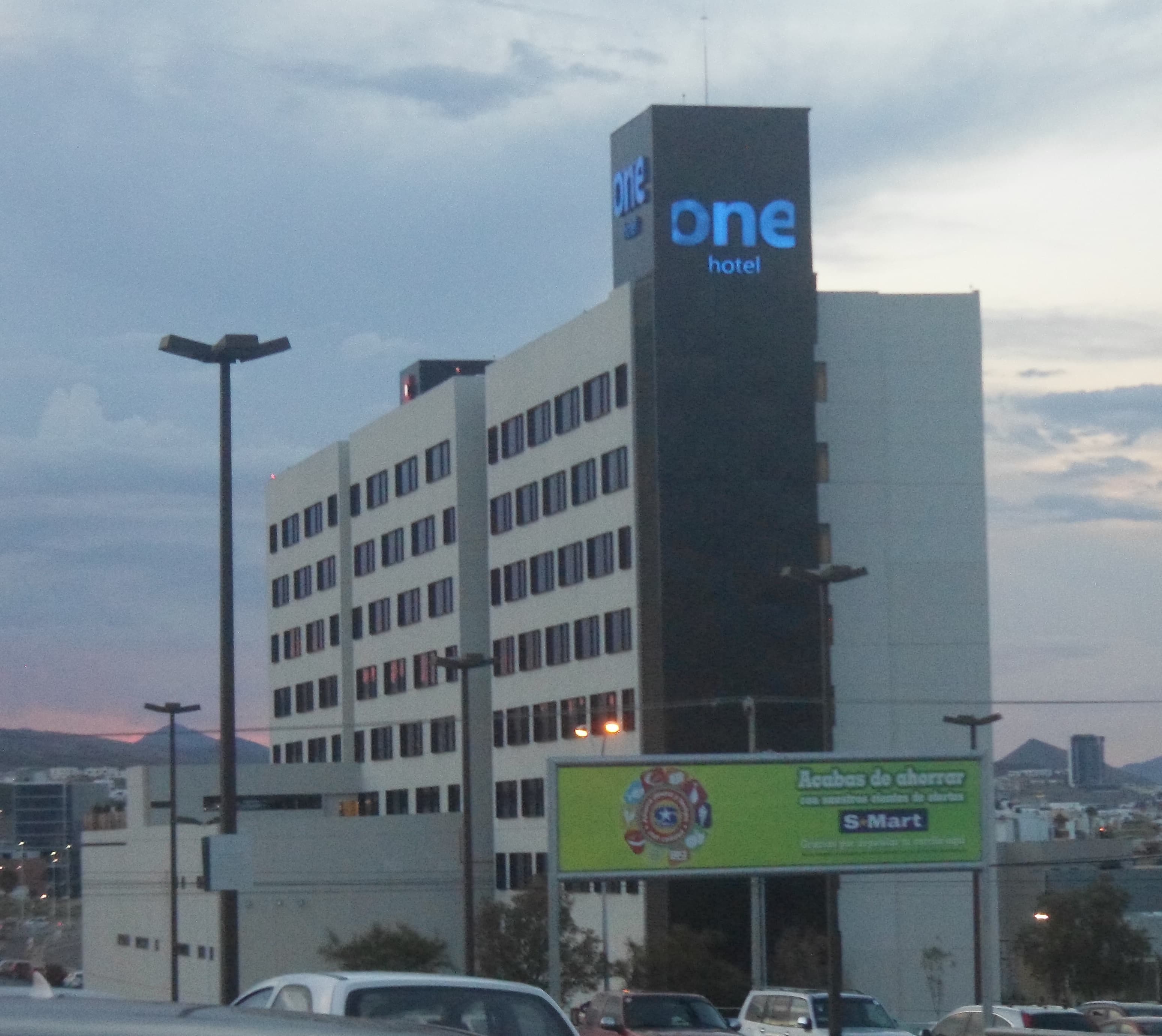 One Chihuahua Fashion Mall