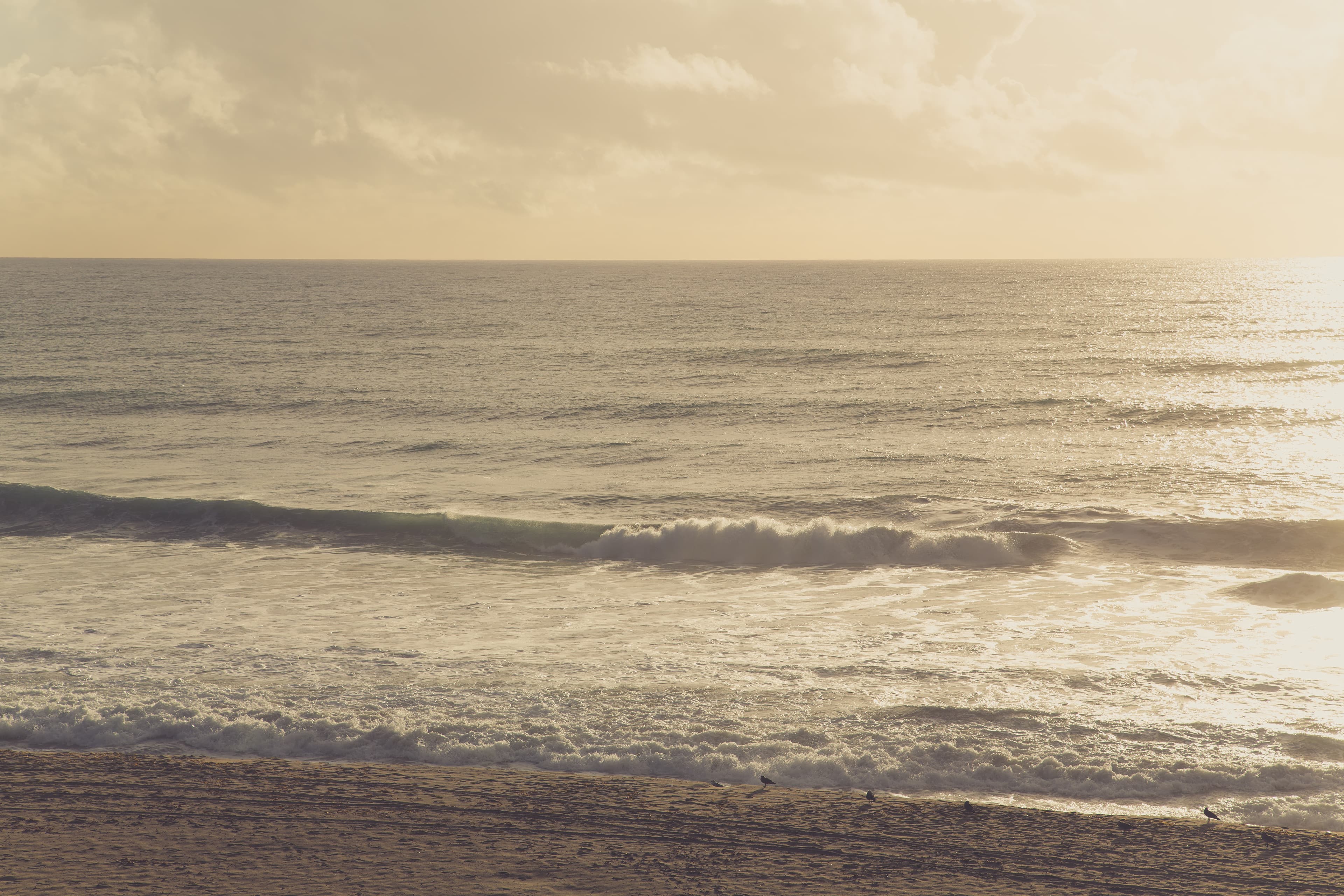 Carlsbad Inn Beach Resort