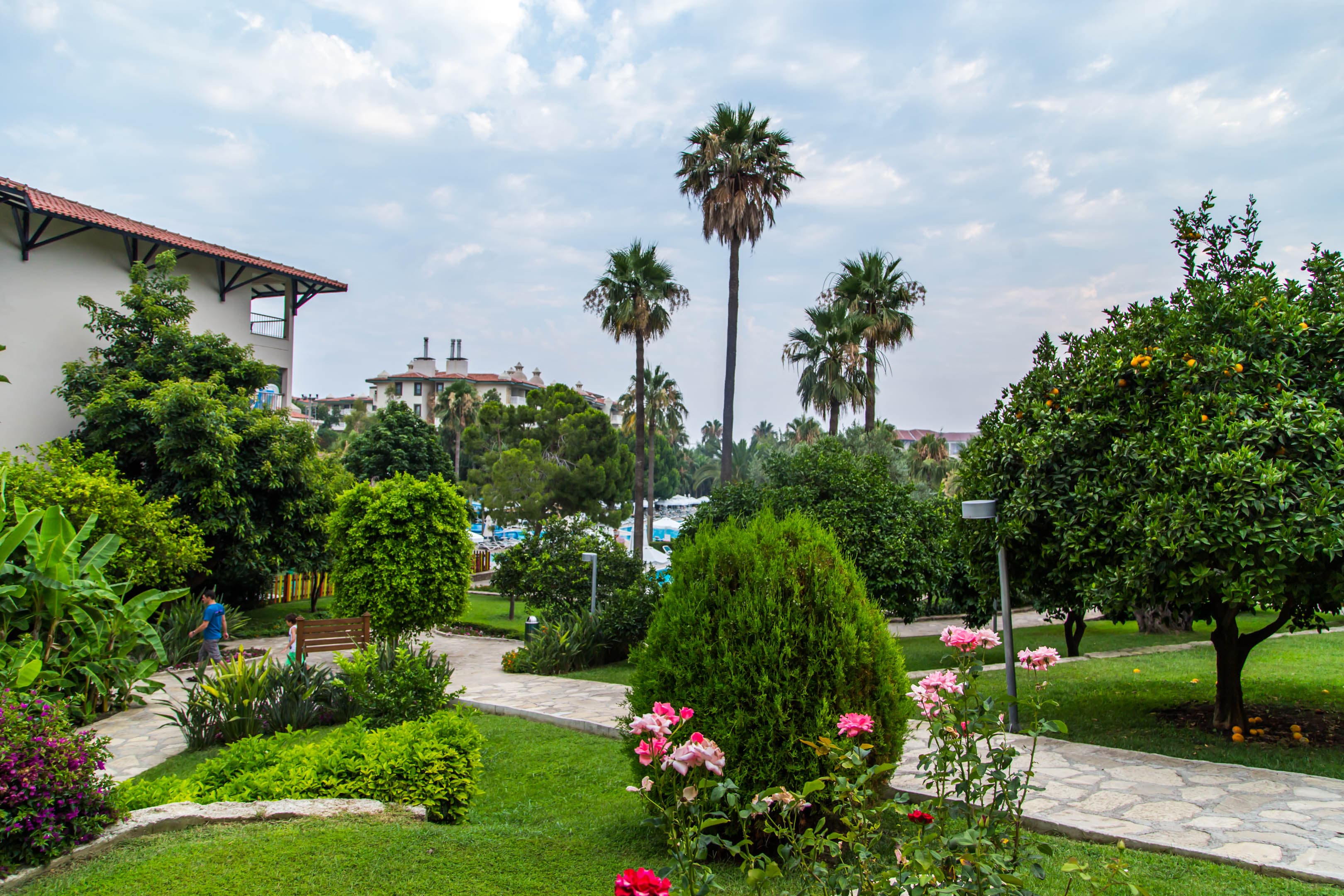 Barut Hemera