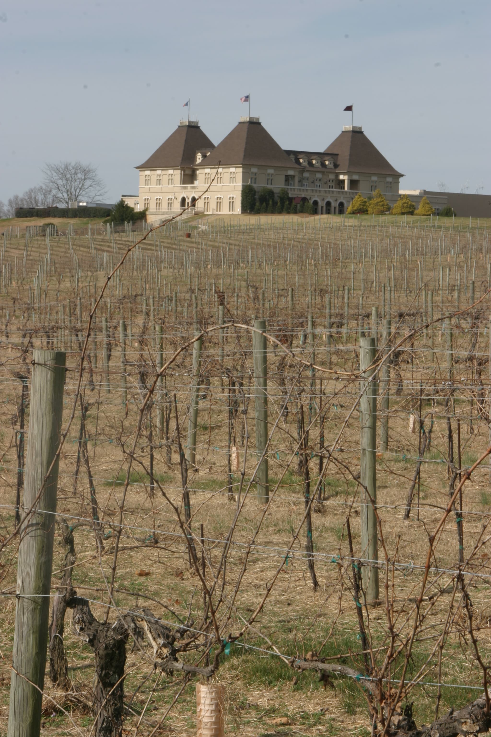 Chateau Elan Winery
