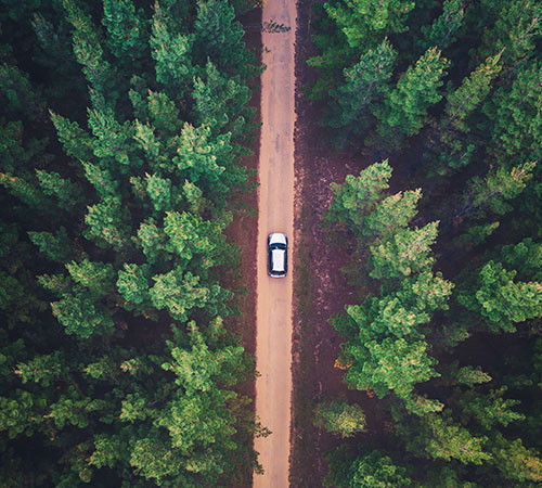 A white car is navigating through a forest 