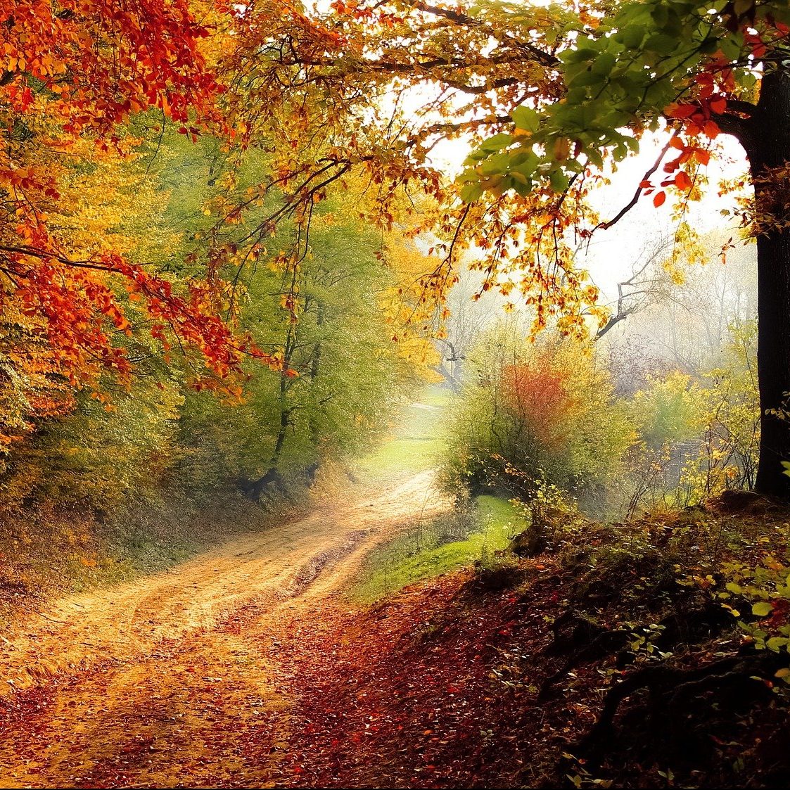 road-gb479441fc_1920-e1638829190531