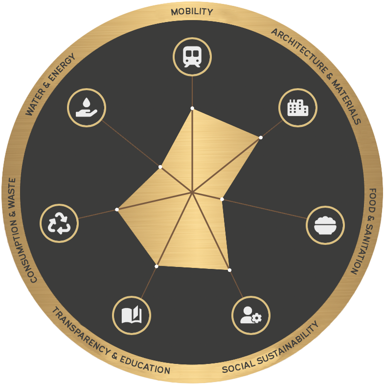new-dreamcatcher2