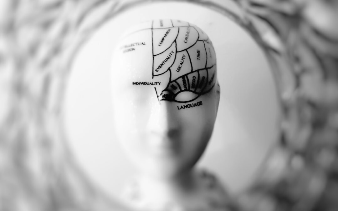 Cartoonated Human skull (Psychology of travel)