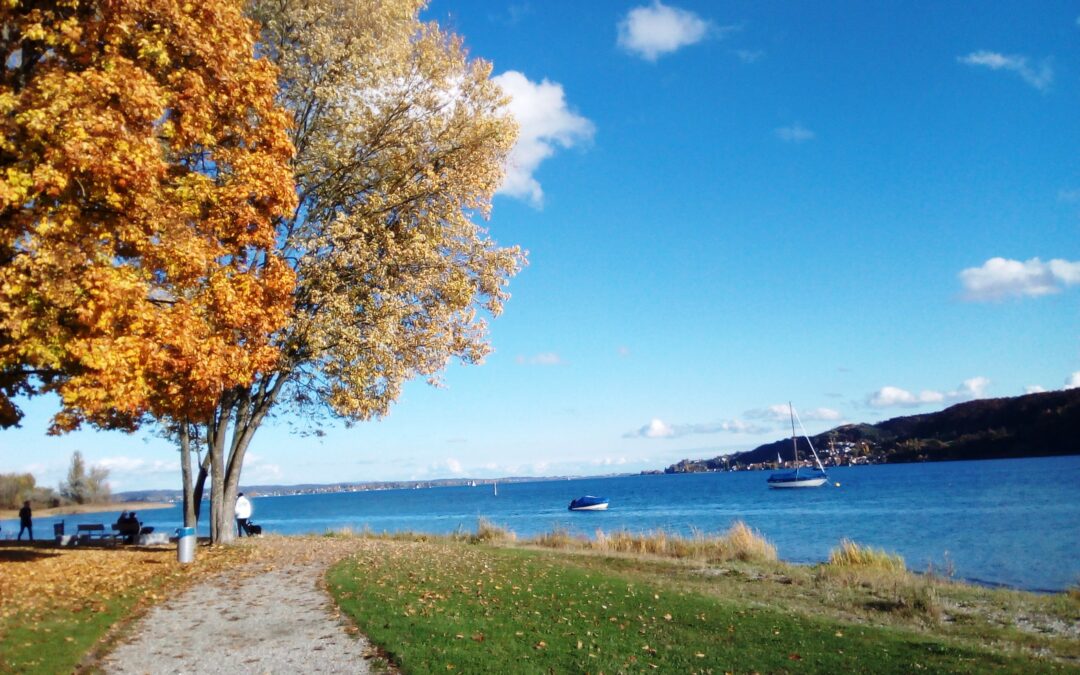 Germany: Unveiling History, Crafting Tomorrow.