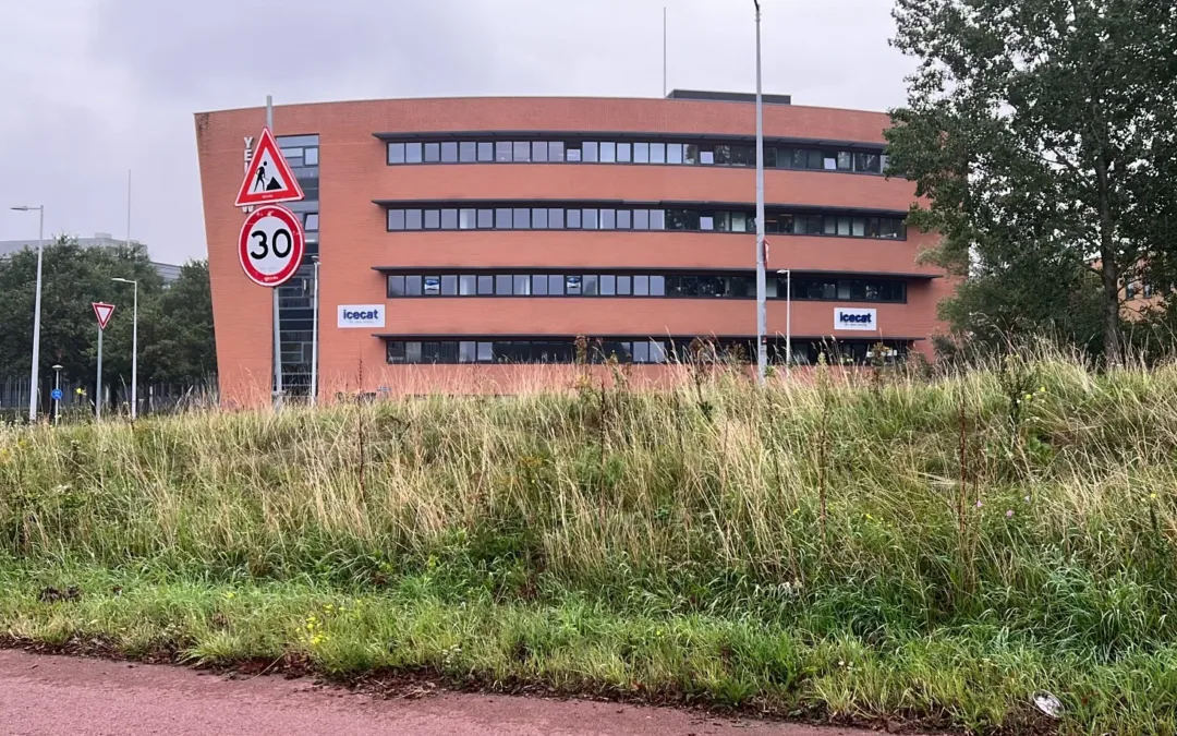 Unpacking Amsterdam’s Urban Life – Pedals, Canals, and Green Initiatives