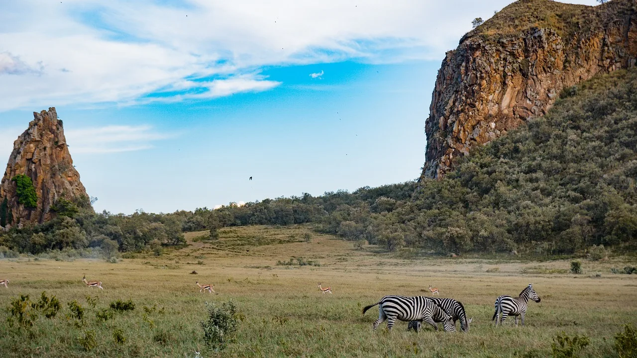 Image of Kenya vast lands on it, fields, mountains and Zebra eating grass.