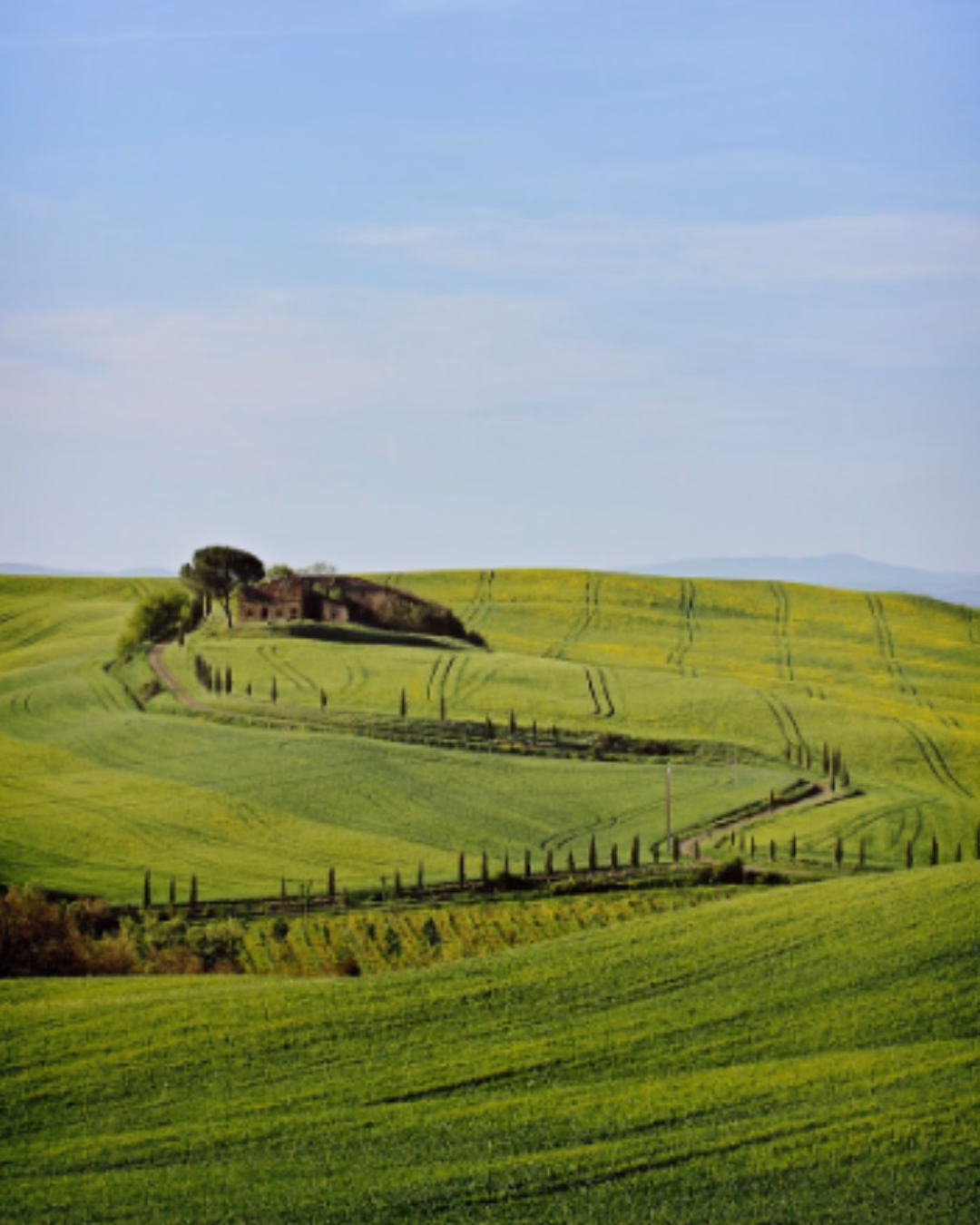 Progetto senza titolo (6)