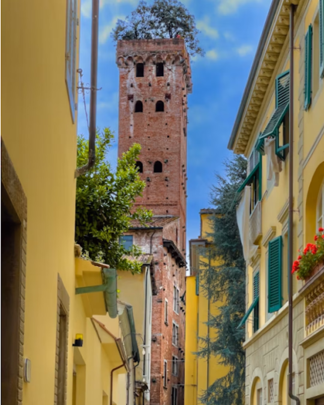 Progetto senza titolo (8)