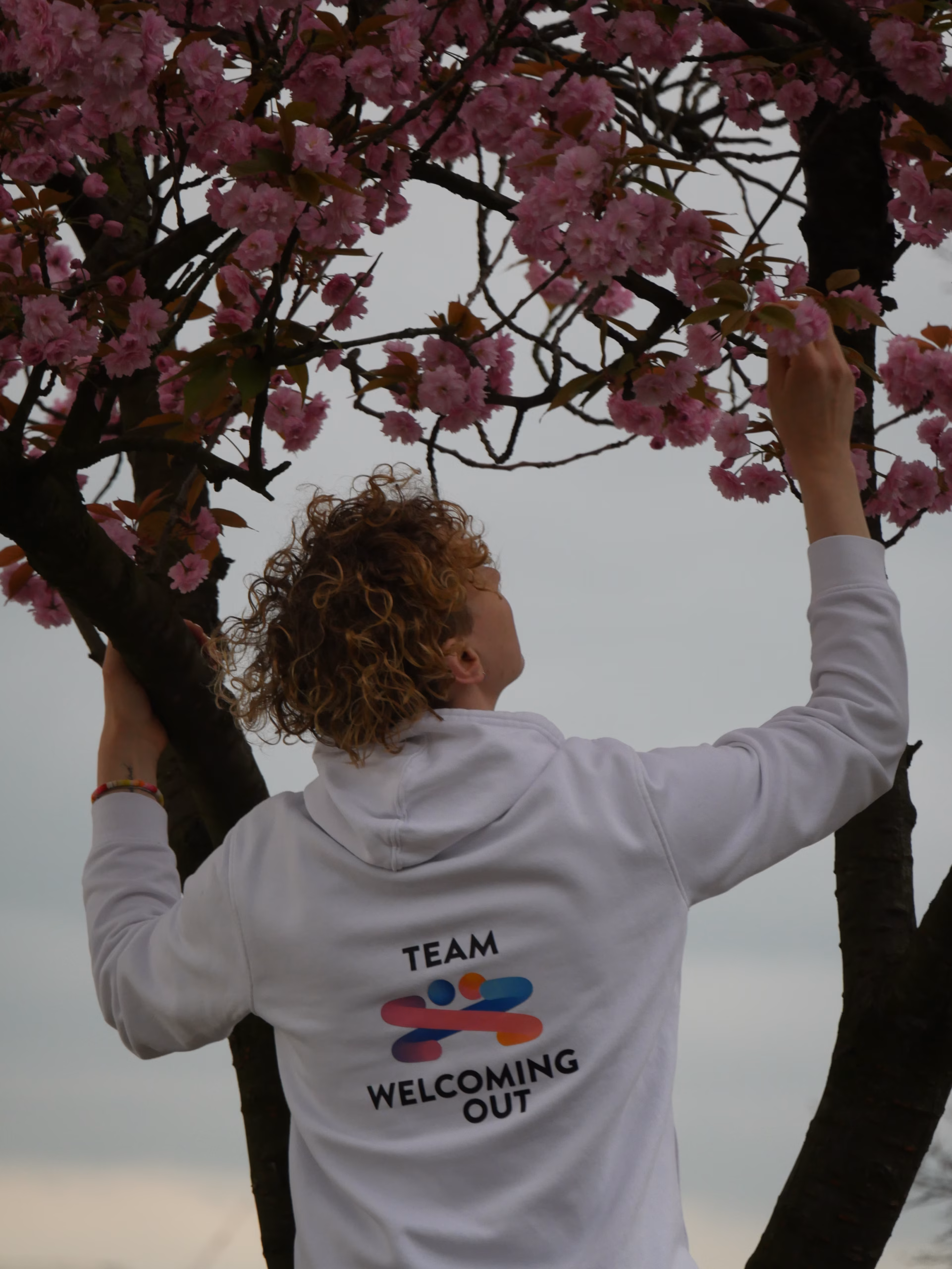 Progetto senza titolo (5) A person in a "Team Welcoming Out" hoodie reaches for vibrant pink cherry blossoms on a tree, set against an overcast sky.